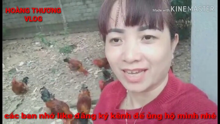 Xem cả nghìn lần vẫn cứ buồn cười với màn ăn mừng kênh hoàng thương vlog đạt được 1000 sub