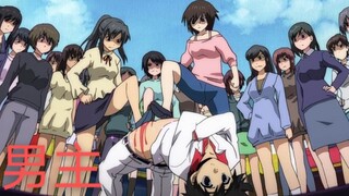 Đây là chuyện xảy ra khi nam chính mở harem! ! ! Những nhân vật nam chính dũng cảm trong anime! ! ! 