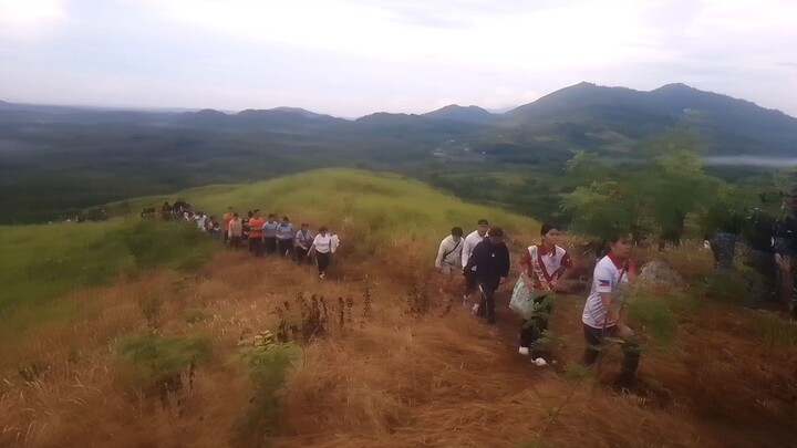 tree planting mount gampoy