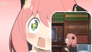 Sekarang giliran Ania untuk mencuci otakmu!