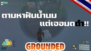 grounded : หาฟันน้ำนม แถมเจอมดดำ ผจญภัยตอนมืดนี้น่าสนุกจริงๆ 5