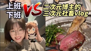 二次元社畜｜养生指南：吃谷+吃饭+拍谷