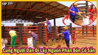 (Tập 201) Tiếp Tục Đi Lấy Phân Bò Có Sẵn Phục Vụ Chăm Bón Cho Nông Nghiệp