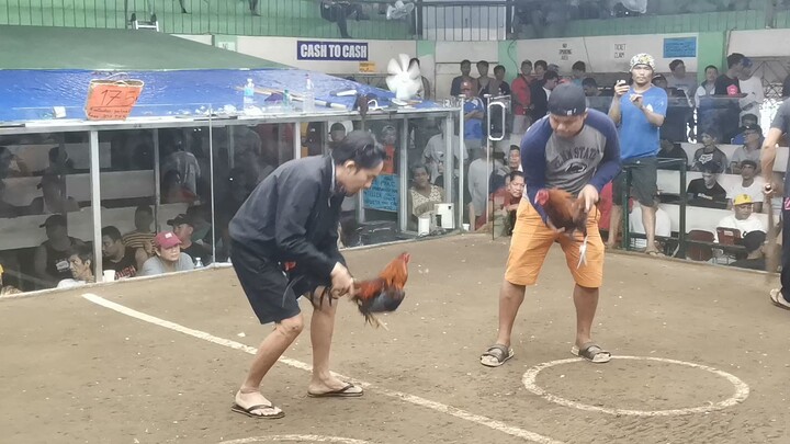 Jerry Jenkins Sweater... unang sabak... win 🐓💪