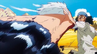 Gila Garp VS Aokiji Epic Banget Bikin Penonton Kagum 🥶‼️