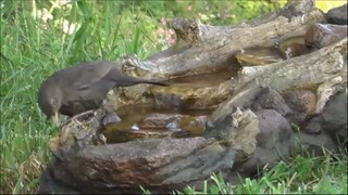 Best Christian Worship Songs 2025 - Worship Songs 2025 - Best 100 Morning Worshi