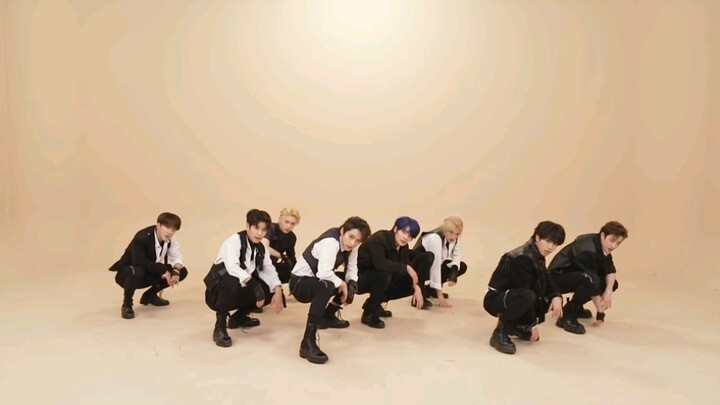 201111 [Stray Kids] "ALL IN" Dance Practice Room - Catch-Up Post