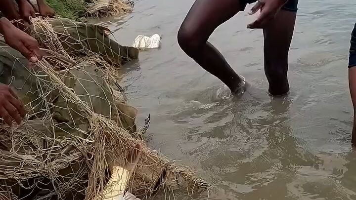 Nepal/ India ka fish
