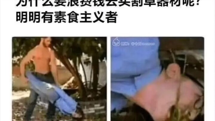 “สมเหตุสมผล” — ตอนที่ 40 ของ “ภาพสนุกๆ บนโลกออนไลน์” (˵¯͒〰¯͒˵)