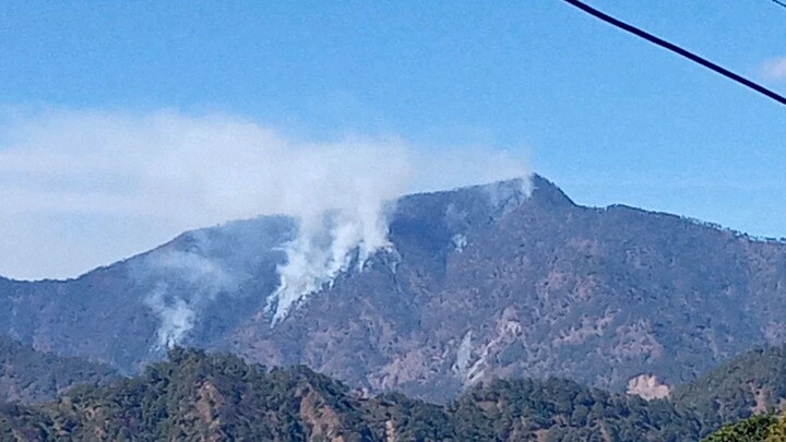 forest fire