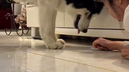 One is willing to teach, the other is willing to learn.