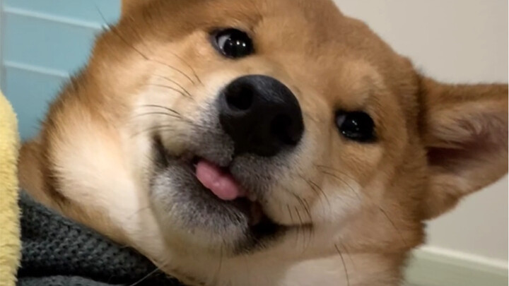 Anak Tercinta Mama (Cinta Dini dari Segala Arah)