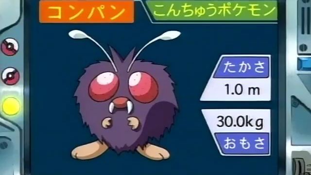 オーキド博士のポケモン講座 コンパン Bstation