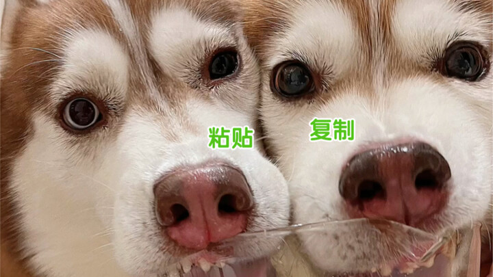 ว่ากันว่าเป็นแม่ลูก แต่กลับโตมาเหมือนฝาแฝด…ดูจนจบแล้วต้องเปิดเสียงให้ดังสุด!