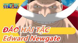 [ĐẢO HẢI TẶC/AMV/Hoành tráng] Chiến tranh tập hợp, người đàn ông mạnh nhất Edward Newgate