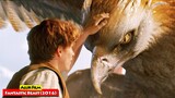 Anak Manusia Yang Jadi Penakluk Hewan Aneh Di Dunia Sihir | Alur Cerita Film FANTASTIC BEAST (2016)