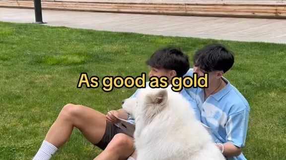 Johnny Hyunn's Boyfriend 🏳️‍🌈