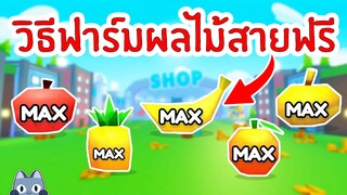 วิธีฟาร์มผลไม้สายฟรี ฟาร์มง่าย ฟาร์มไว | Roblox Pet Simulator X 🐾