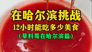 Challenge: How much delicious food can you eat in Harbin in 12 hours? (Grass Catcher in Harbin)