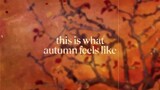 this is what autumn feels like lyrics JVKE