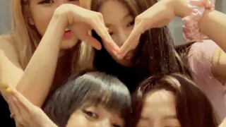 المقطع الأخير من جيني بعد استيقاظها للمشاركة في البث المباشر! الجميع سعيد جدًا! ممتع جدًا! بلاكبينك