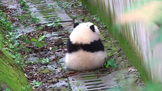 He Hua - A Little Rice Ball
