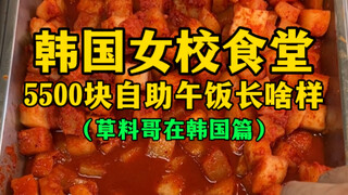 What does a 5,500 won buffet lunch at a Korean girls' school cafeteria look like? (My AC unit is so 