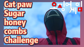 Cat paw Sugar honey combs Challenge