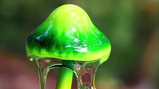 Nghệ thuật nấm hàng đầu