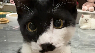 Hutan: Pada akhirnya, tetap aku yang menanggung semuanya!