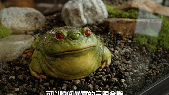 Kodok Emas Tiga Mata yang Bisa Membuat Kaya Mendadak