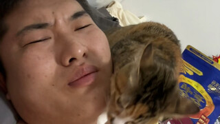 Apa yang harus saya lakukan jika saya mendapatkan kucing seperti ini?