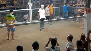 3 cocks ulotan 40k bigay agad Osmeña Marabut Samar 1st fight W