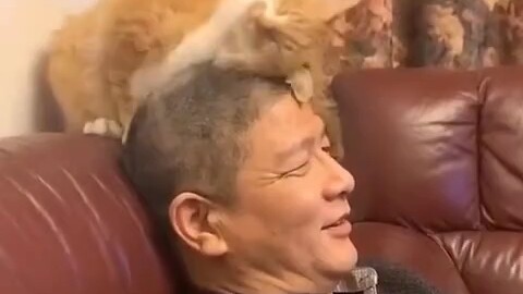 Cat: This brush feels so nice!