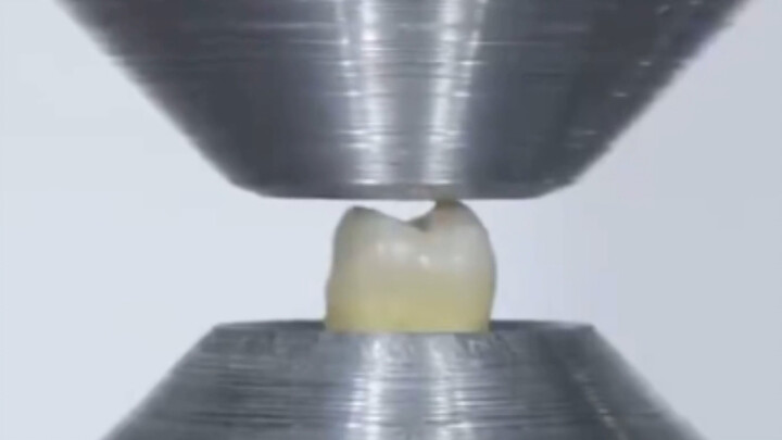 Hydraulic Press vs. Human Teeth
