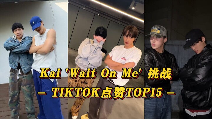 【Kai】与张艺兴久违了！和Momo舞神的对决再次归来！EXO等人助阵！Kai 'Wait On Me' 挑战 TIKTOK点赞TOP15！
