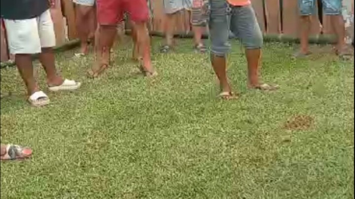 manok bisaya😁