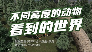 The World Seen by Animals at Different Heights