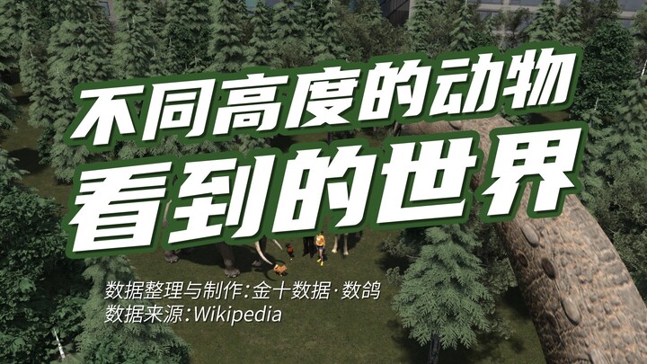不同高度的动物，看到的世界