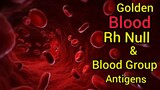 Golden Blood | Rh Null Blood Group | Blood Group Antigens & Rh Factor ||Rare Blood Group ||