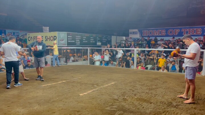 4 stag big event (win)