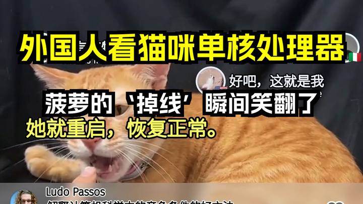 ชาวต่างชาติเห็นโปรเซสเซอร์แกนเดียวของแมว: ช่วงเวลาที่ “หลุด” ของสับปะรดทำเอาขำกลิ้ง! คอมเมนต์จากฝรั่