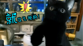 Why is this black cat being so mean? There's a surprise at the end of the video!