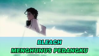 Bleach | Kamulah Alasan Mengapa Aku Menghunus Pedangku!