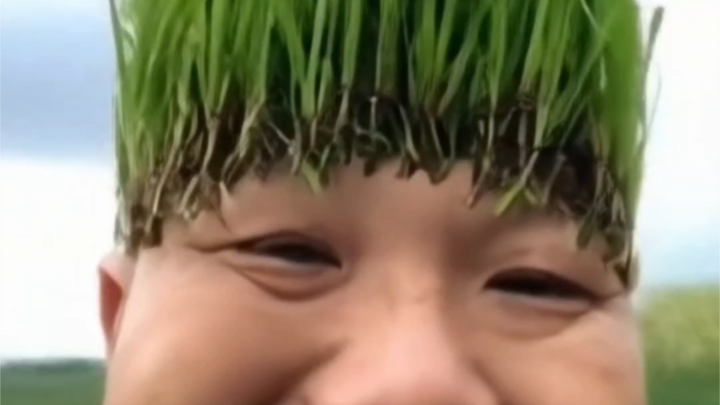 Brother Dao, you have a lot of grass on your head.