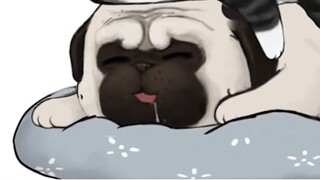 Do you have such a friend? ! [My emperor sleeps forever]