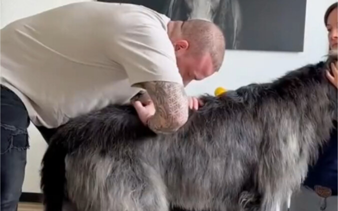 Dog: I thought I saw my grandfather just now