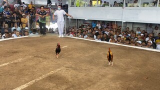 3hits ulutan 1st fight loss