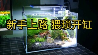 【水草缸】30cm超白缸/大学生新手开缸简单鱼缸布景