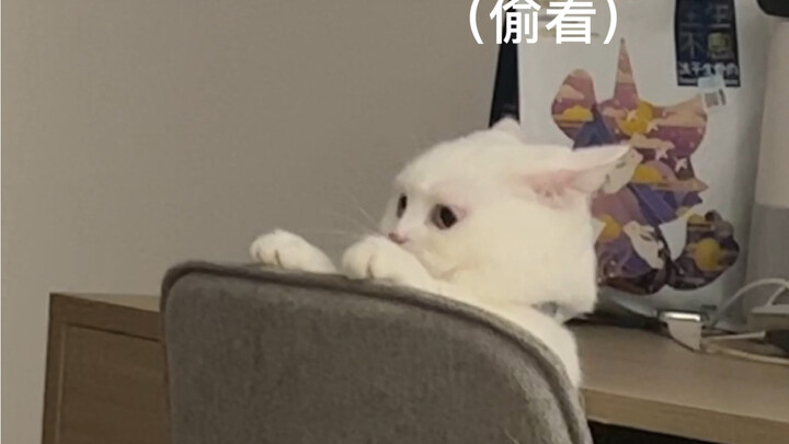 Làm gì chứ! Tôi đâu có giận!